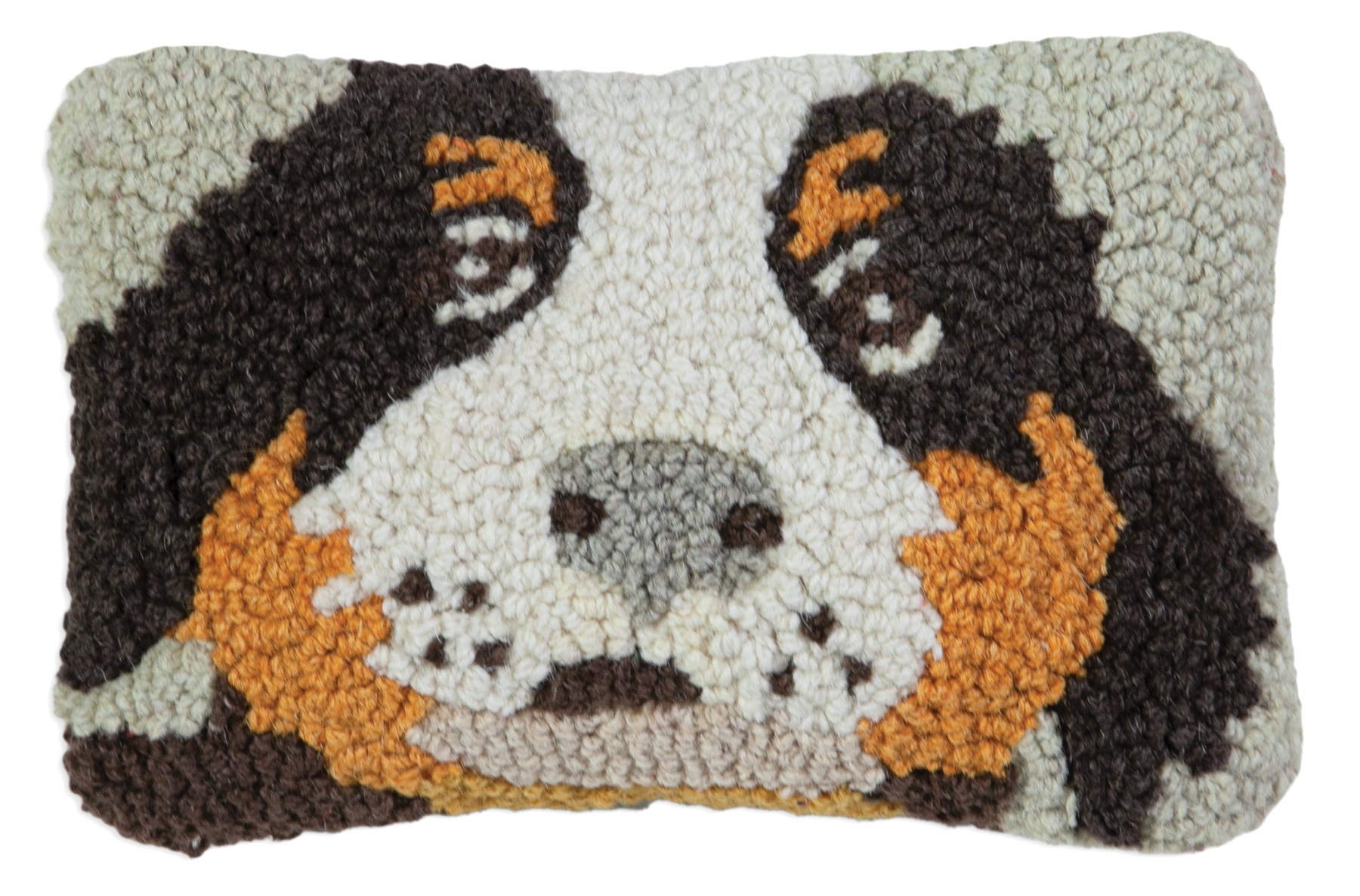Picture of Bernese Mountain Dog
