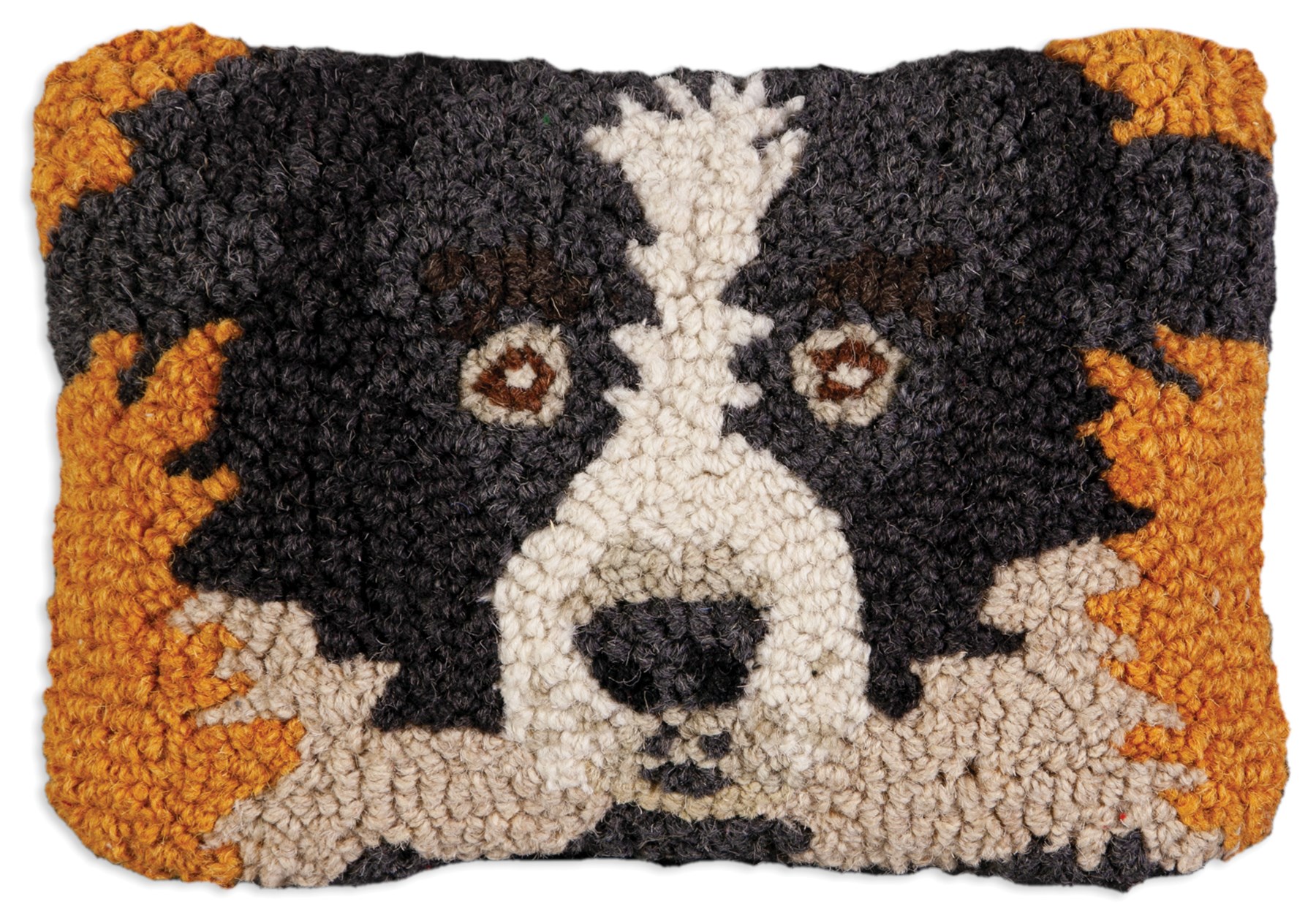 Picture of Border Collie